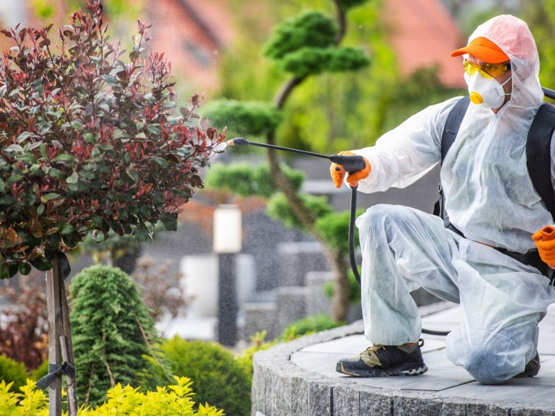 Polatlı Haşere İlaçlama